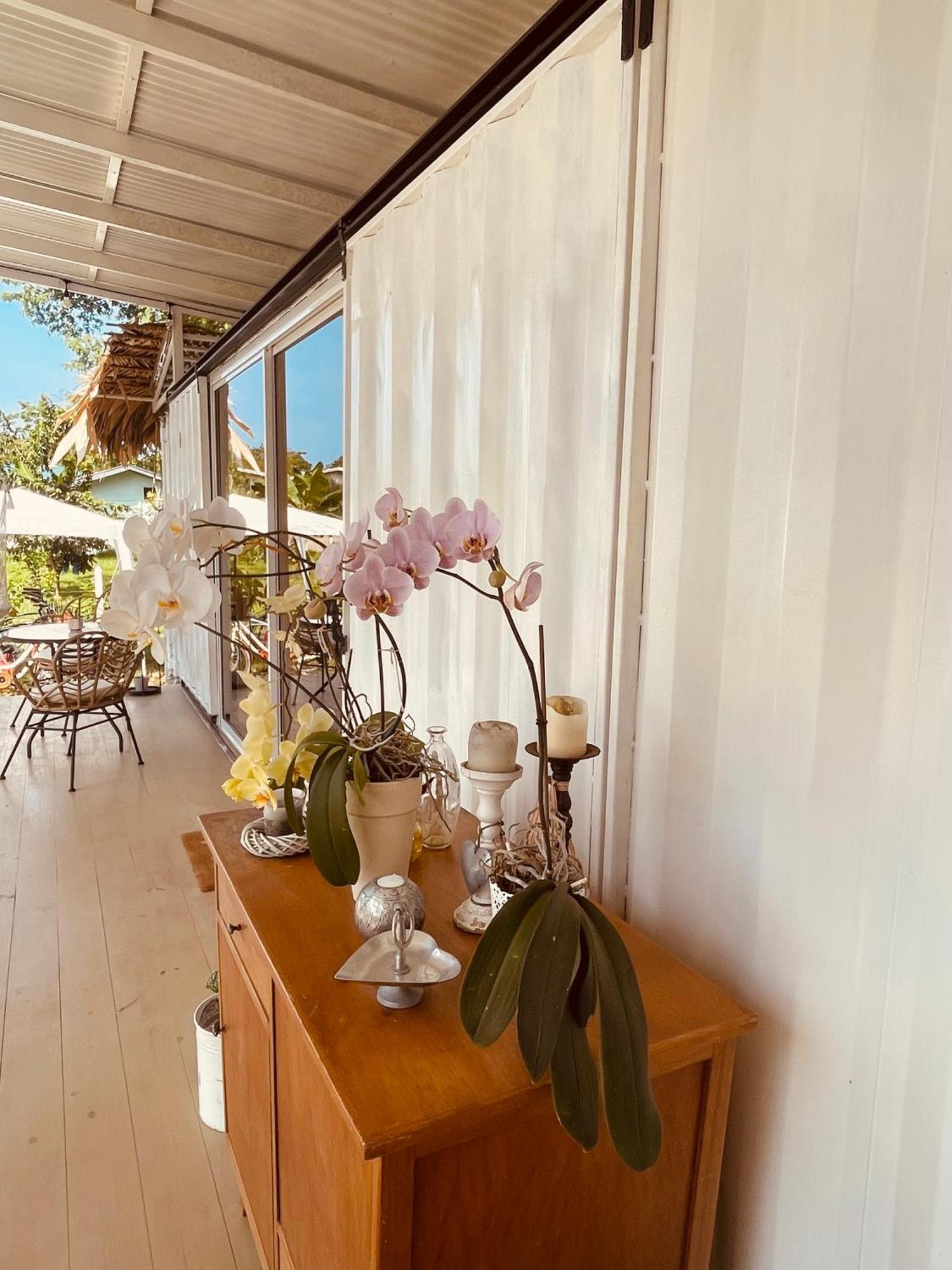 مبيت وإفطار Puerto Viejo de Talamanca Casa Luce المظهر الخارجي الصورة